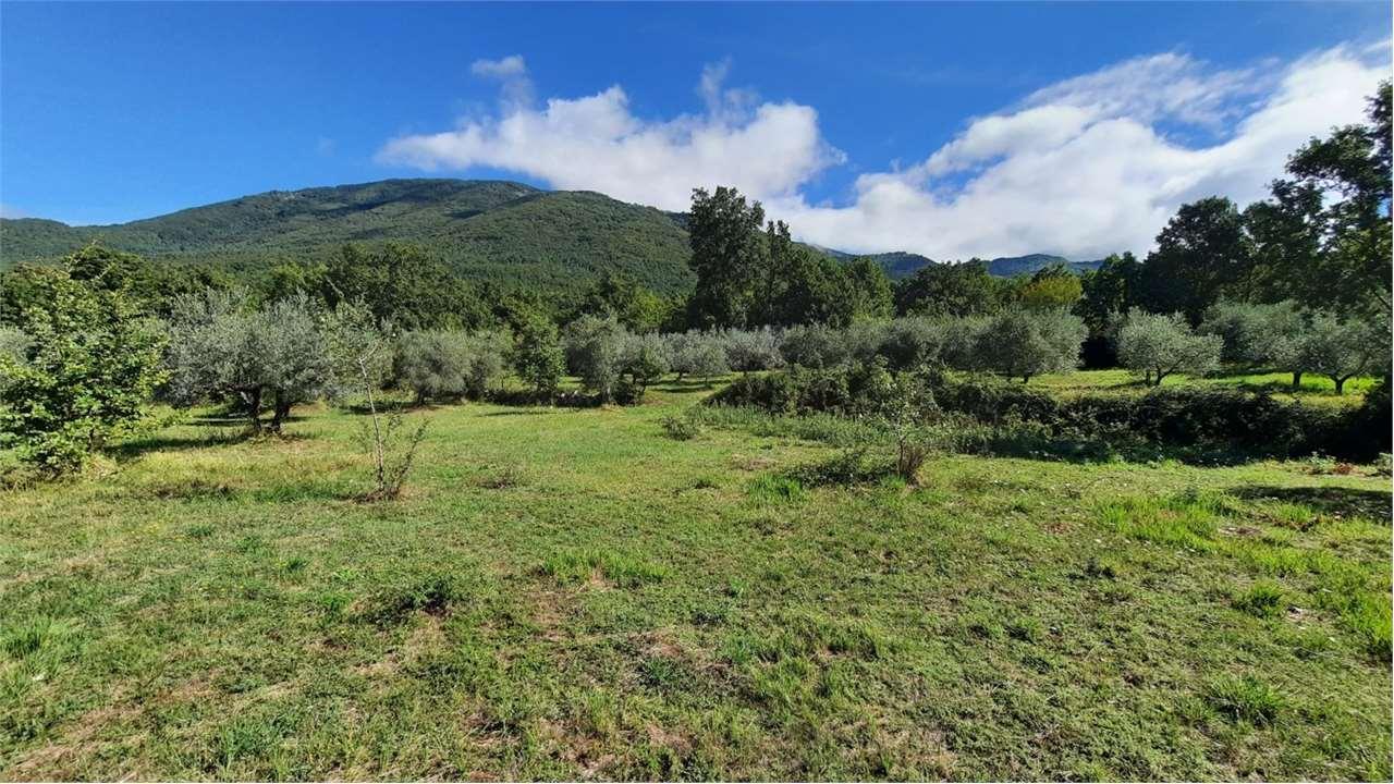 Verkauf vendita, Veroli foto