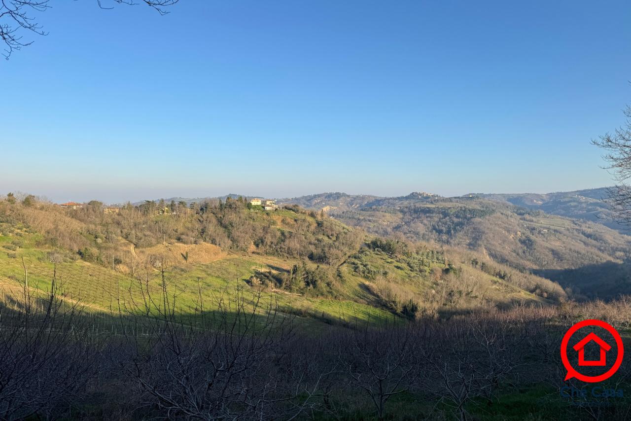 Vendita Terreni, Roncofreddo foto