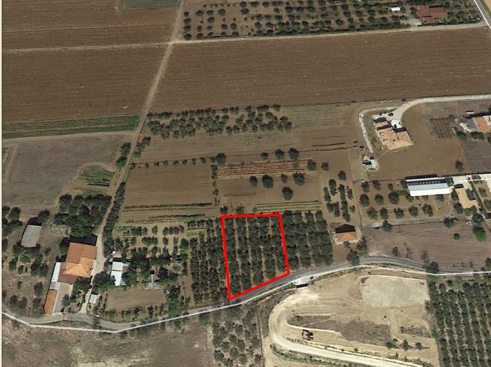 Vendita Loft, mansarde e attici, Cepagatti foto