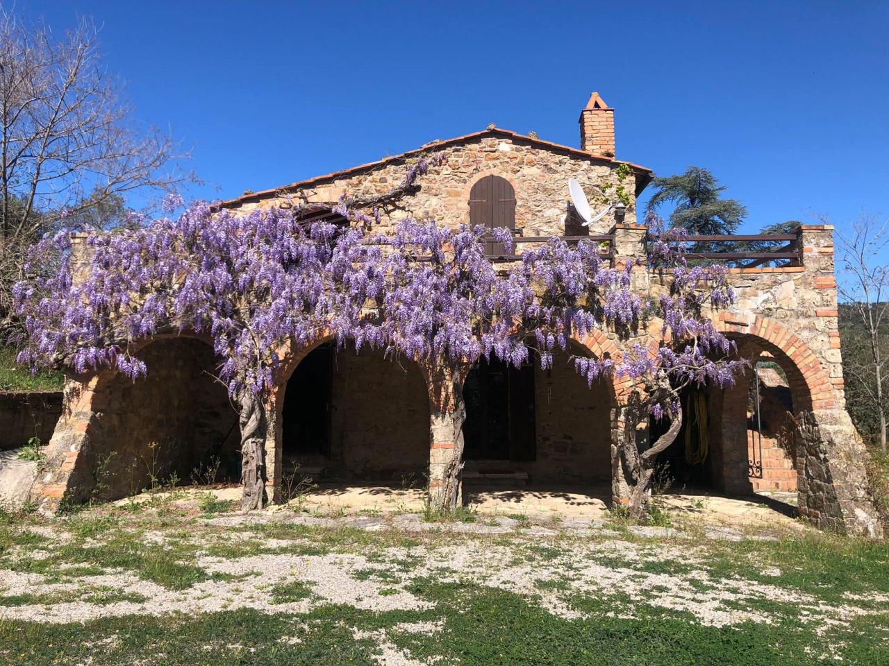 Vendita Multivani, Gavorrano foto