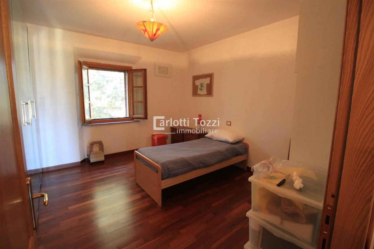 Vendita Esavani, Grosseto foto