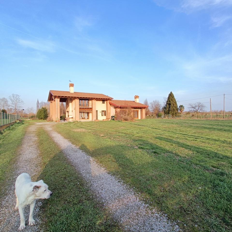 Vendita Esavani, Campolongo Maggiore foto