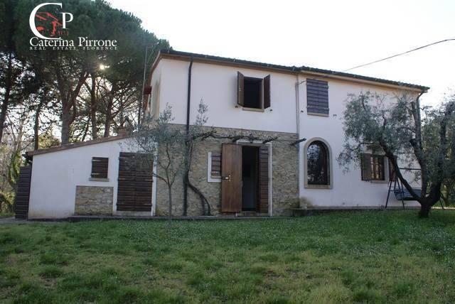 Vendita Rustico, Montescudaio foto