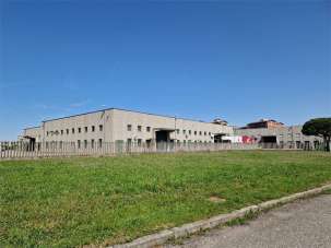 Affitto affitto, Busto Arsizio