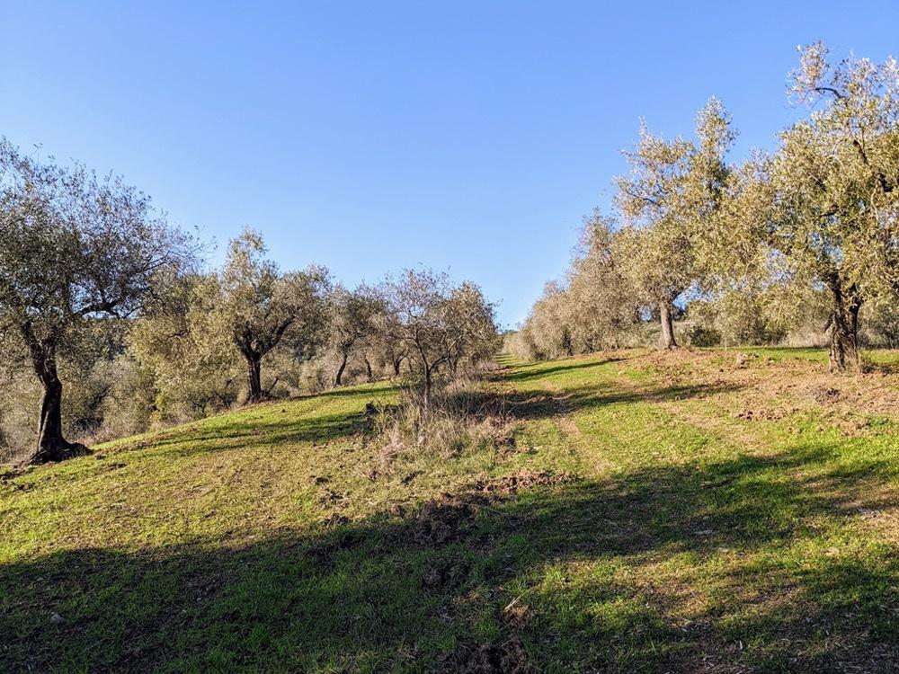 Vendita Locali commerciali, Gavorrano Vendita Locali commerciali, Gavorrano foto