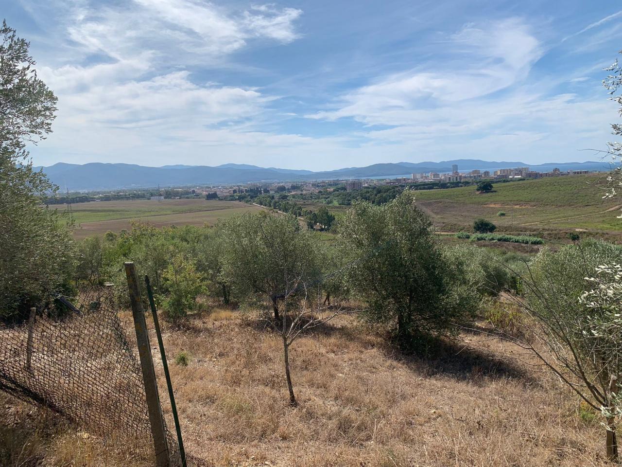 Vendita Altri immobili, Follonica foto