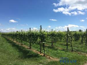 Vendita Loft, mansarde e attici, Soliera Vendita Loft, mansarde e attici, Soliera