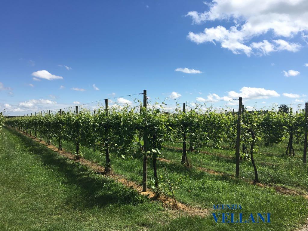 Vendita Loft, mansarde e attici, Soliera foto
