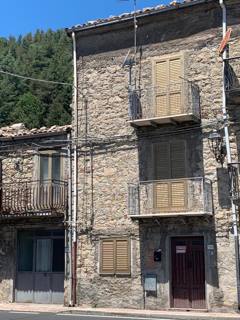 Vendita Trivani, Floresta foto