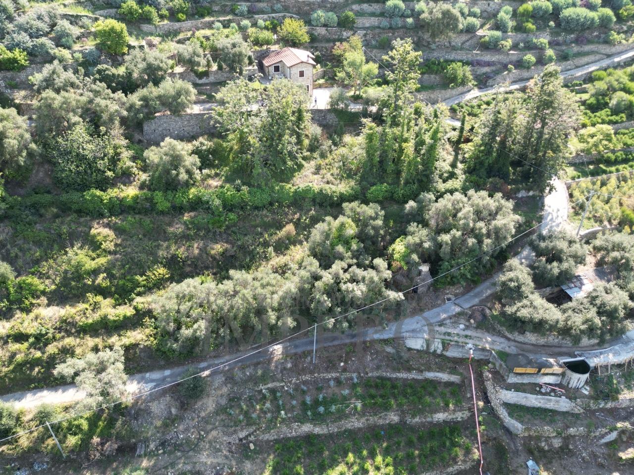 Vendita Multivani, Bordighera foto