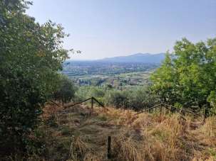 Vendita Multivani, Lucca
