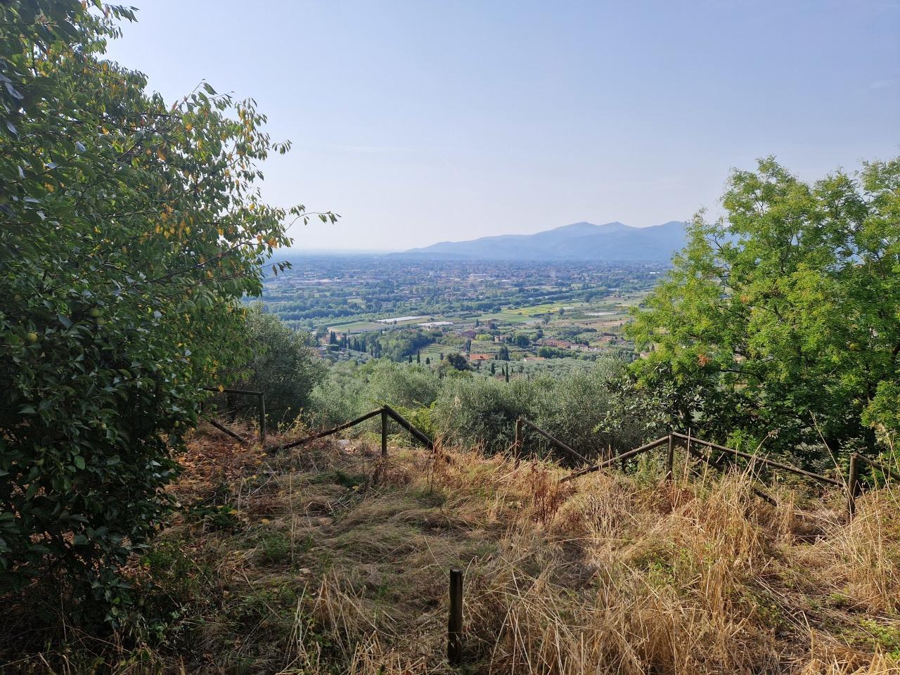 Vendita Multivani, Lucca foto