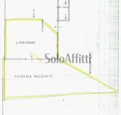 Affitto Monovano, Senigallia