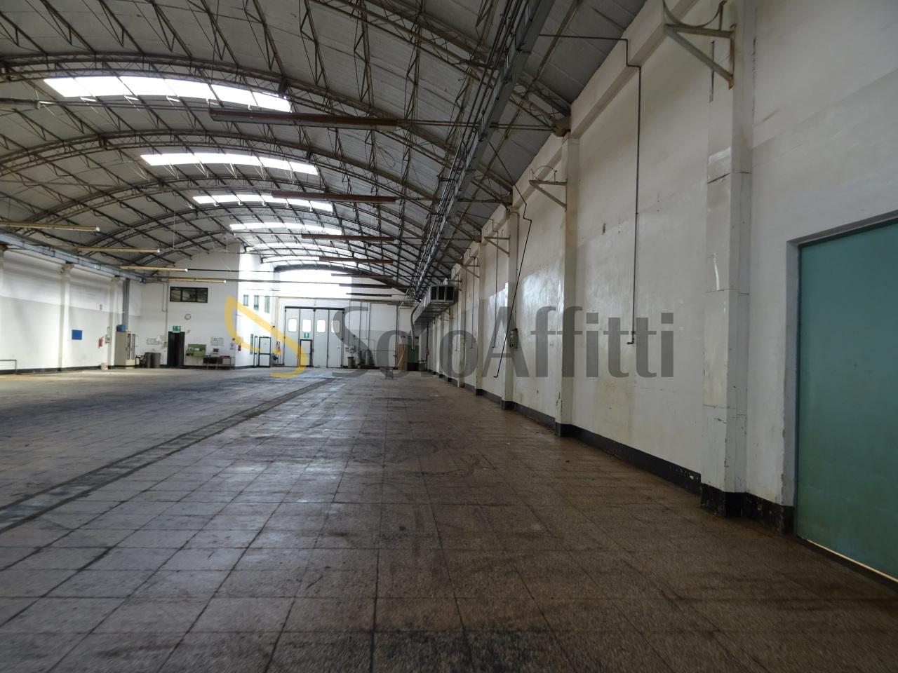 Affitto Monovano, Senigallia Affitto Monovano, Senigallia foto