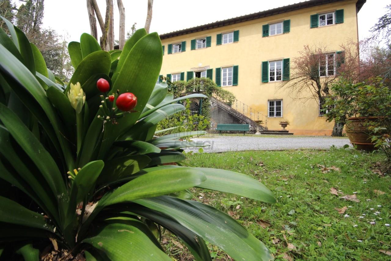 Vendita Case, Lucca foto