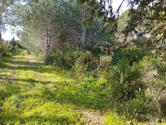 Vendita Casa indipendente, Trinità d'Agultu e Vignola foto