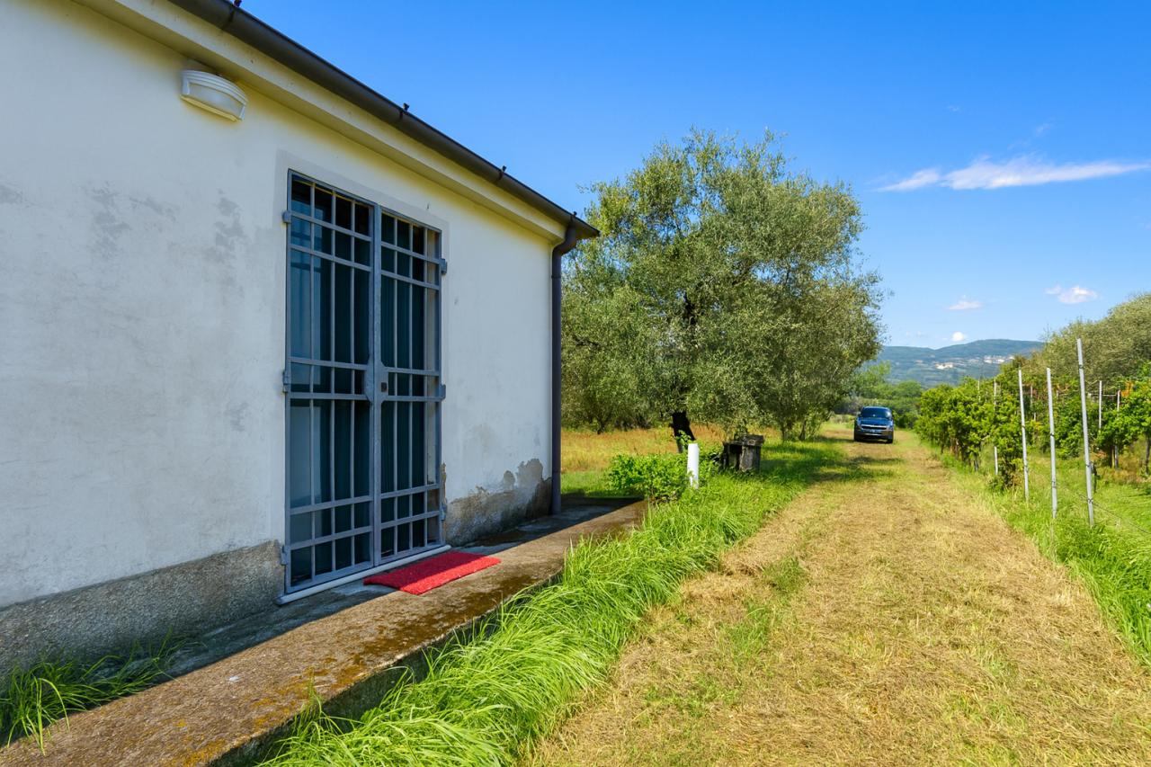 Vendita Bivani, Vezzano Ligure foto