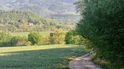 Vendita Trivani, Fossombrone