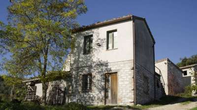 Vendita Bivani, Fossombrone Vendita Bivani, Fossombrone