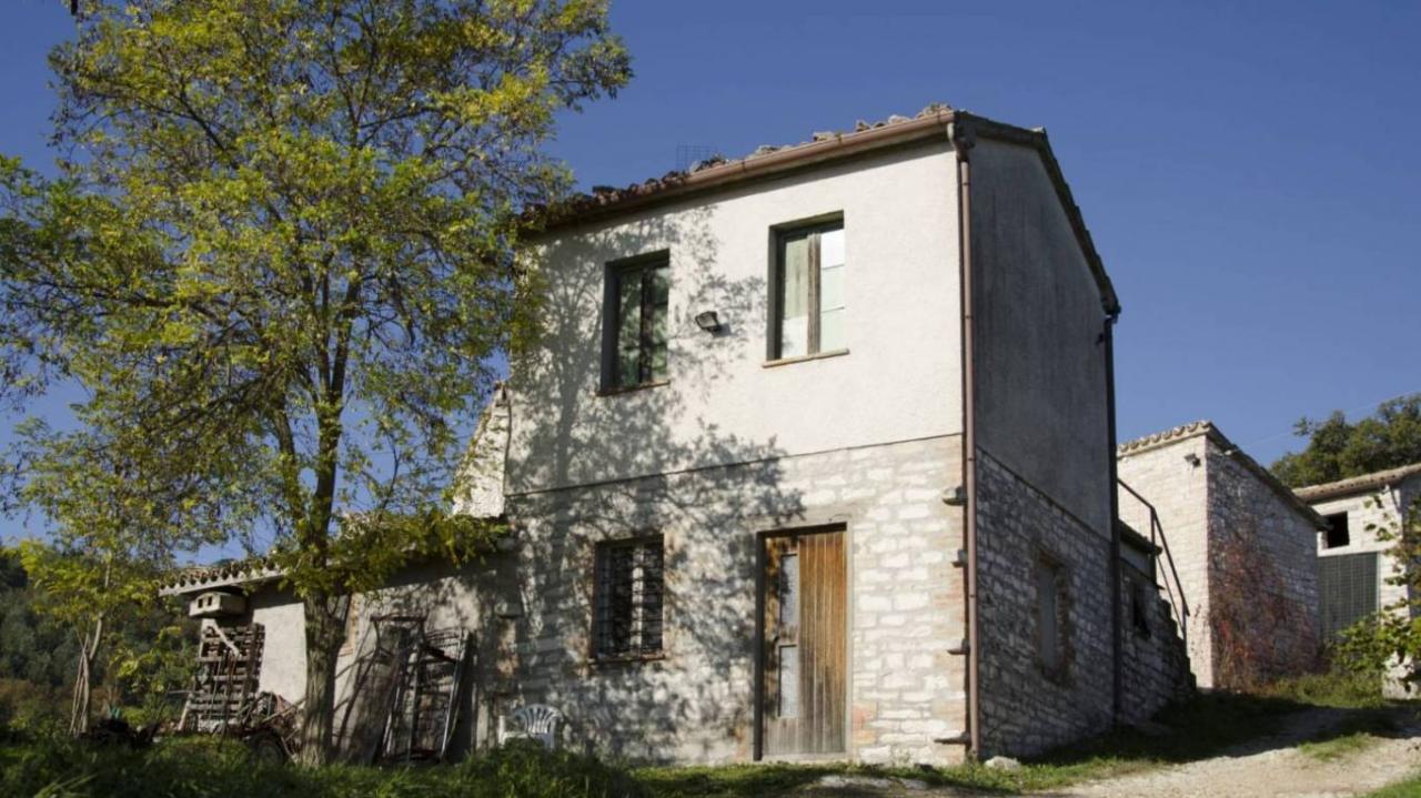 Vendita Bivani, Fossombrone foto
