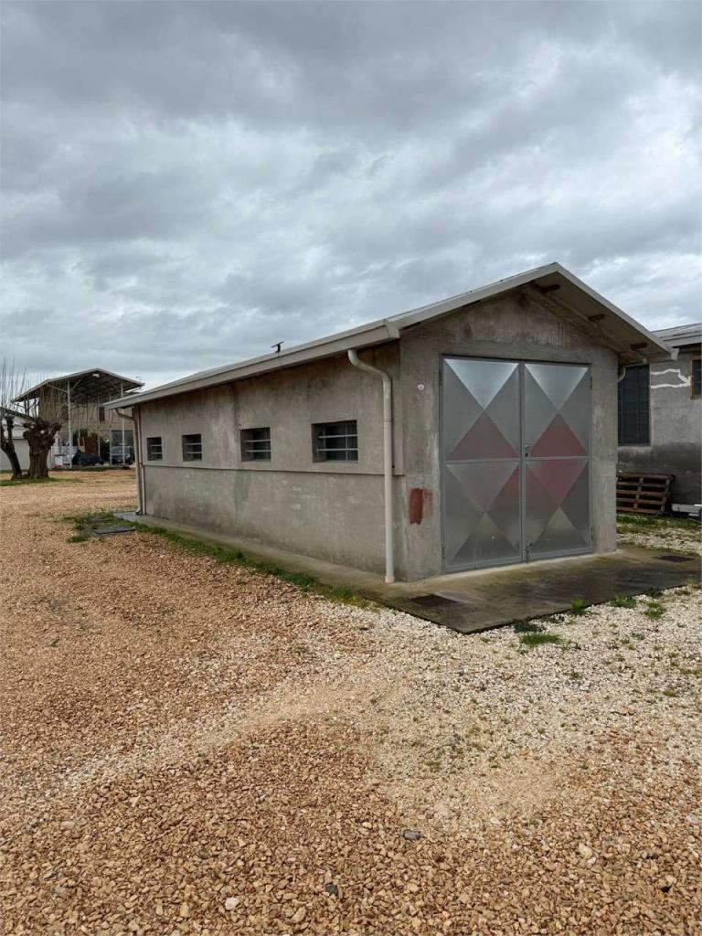 Affitto affitto, Forli Affitto affitto, Forli foto