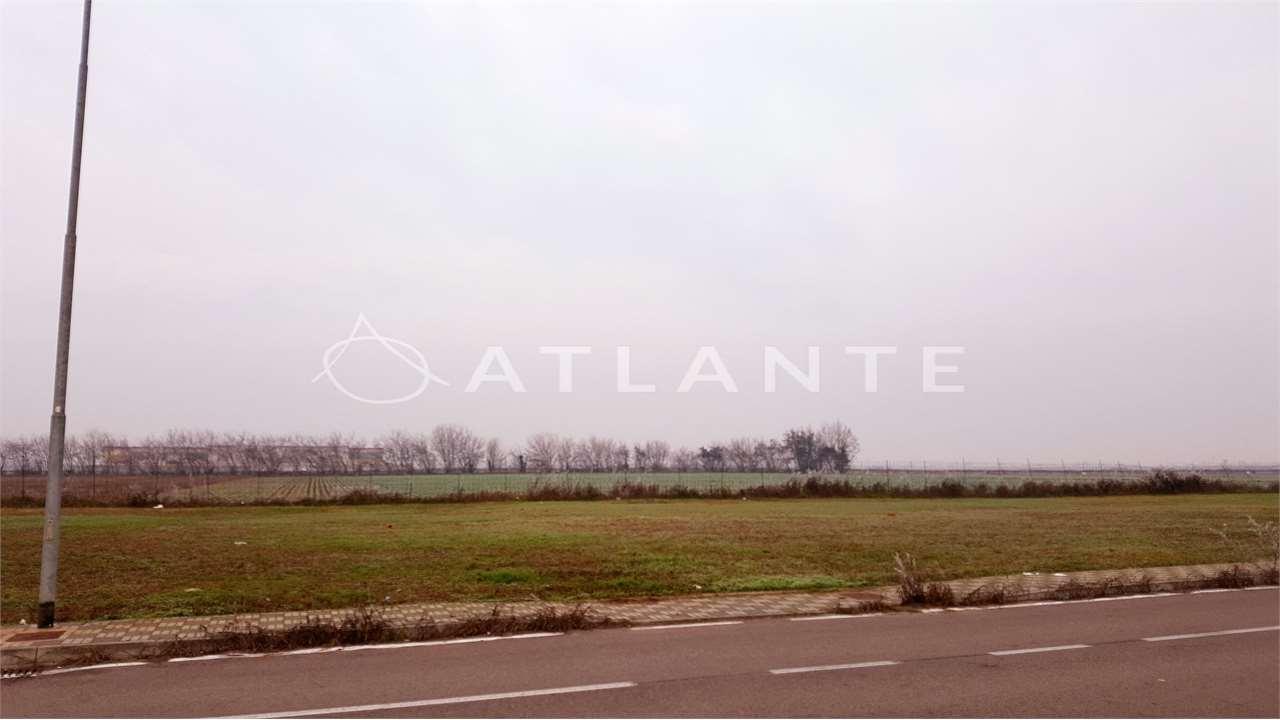 Vendita vendita, Roverbella foto