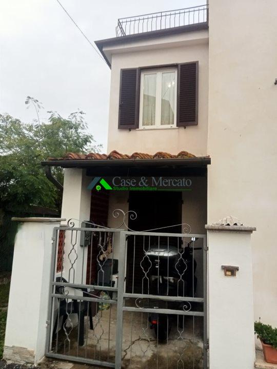 Vendita Esavani, Lucca foto