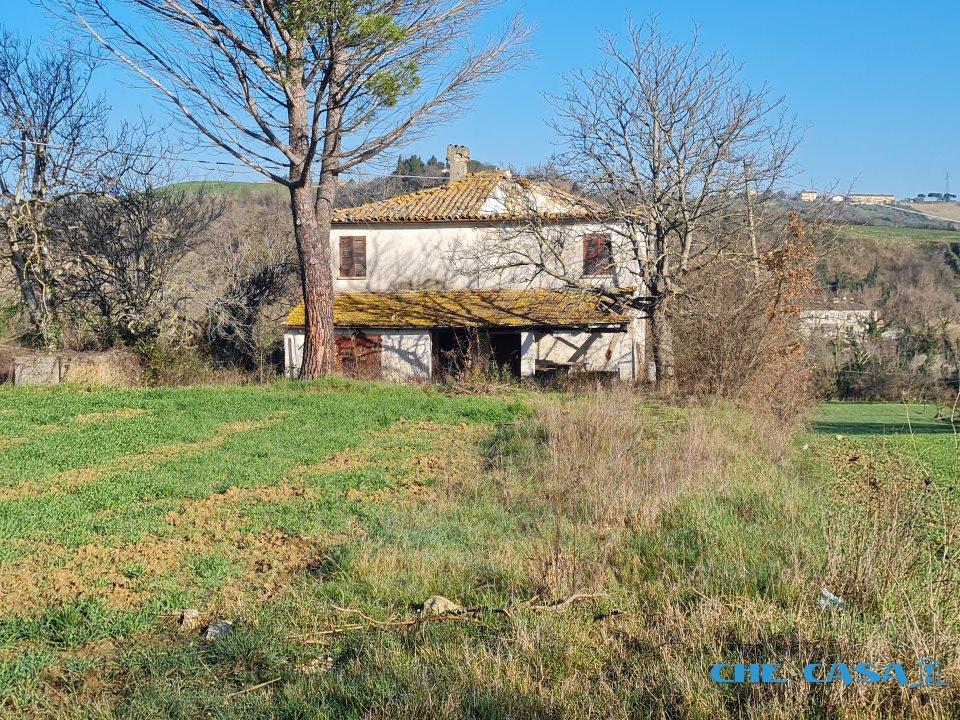 Vendita Quadrivani, Coriano foto