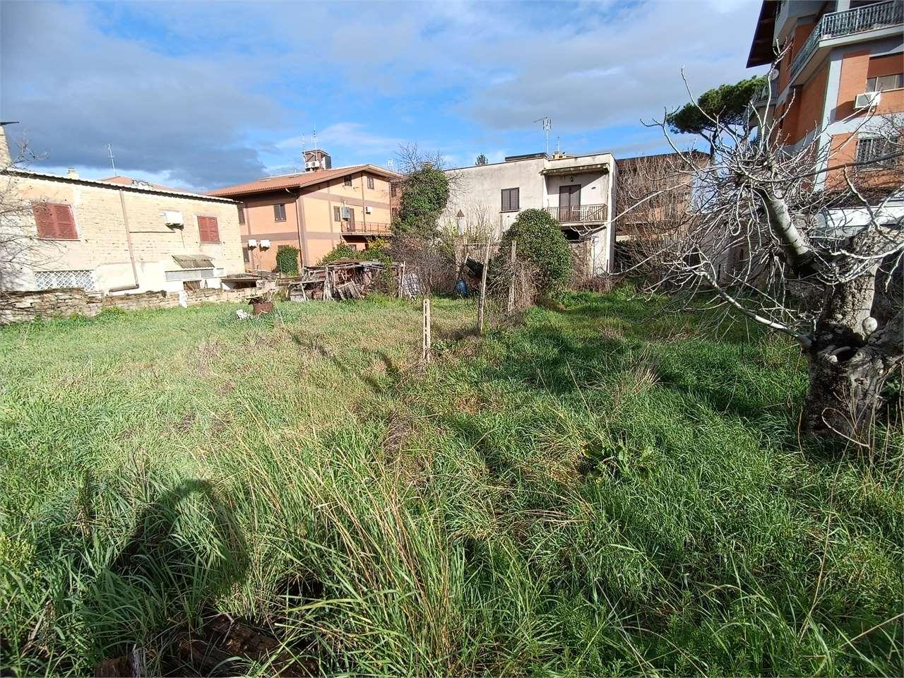 Vendita vendita, Roma foto