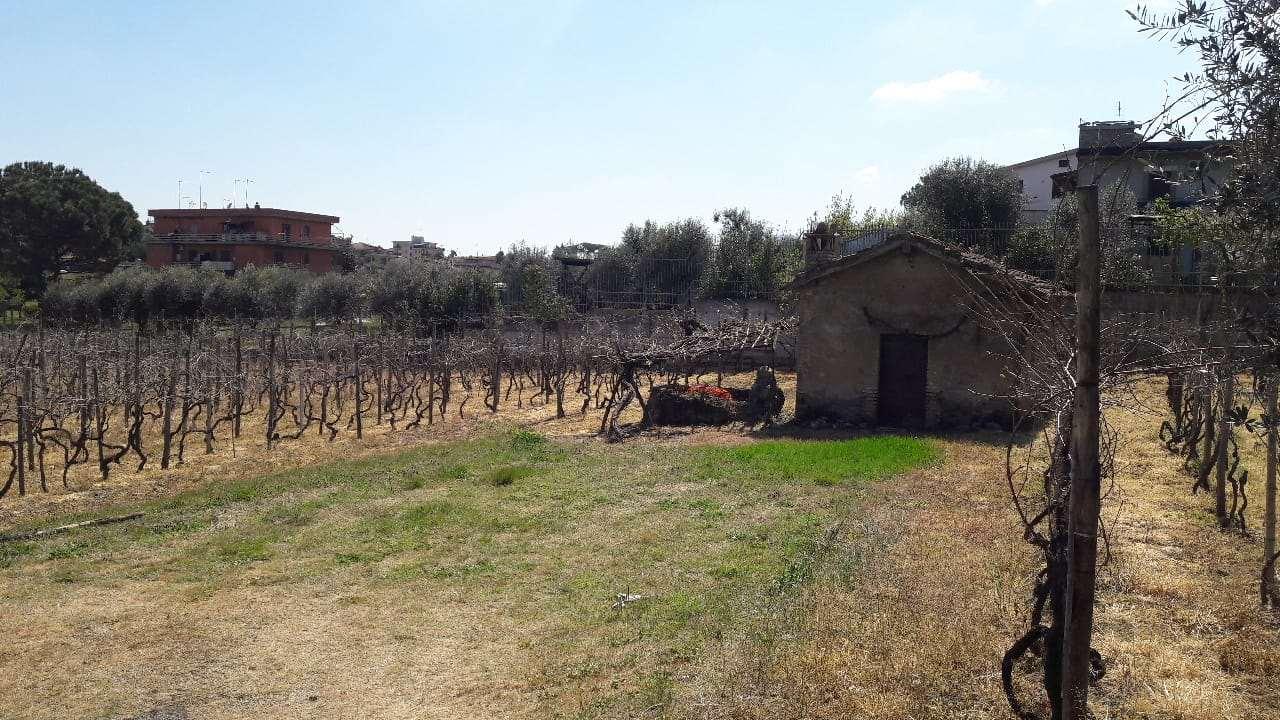 Vendita vendita, Roma foto