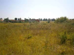 Vendita vendita, Roma