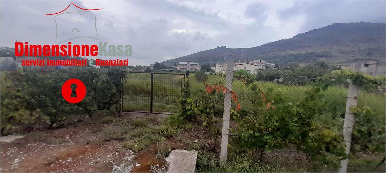 Vendita vendita, San Felice a Cancello foto