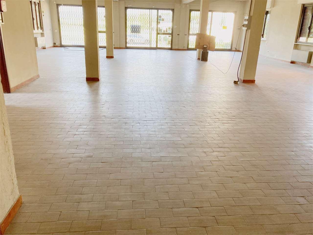 Affitto affitto, Capannori Affitto affitto, Capannori foto