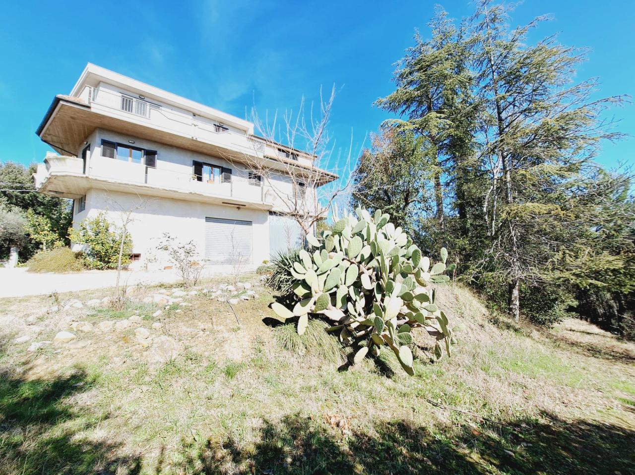 Vendita Casa indipendente, Castorano foto