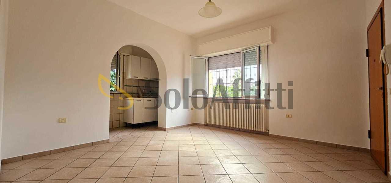 Affitto Trivani, Forlimpopoli Affitto Trivani, Forlimpopoli foto