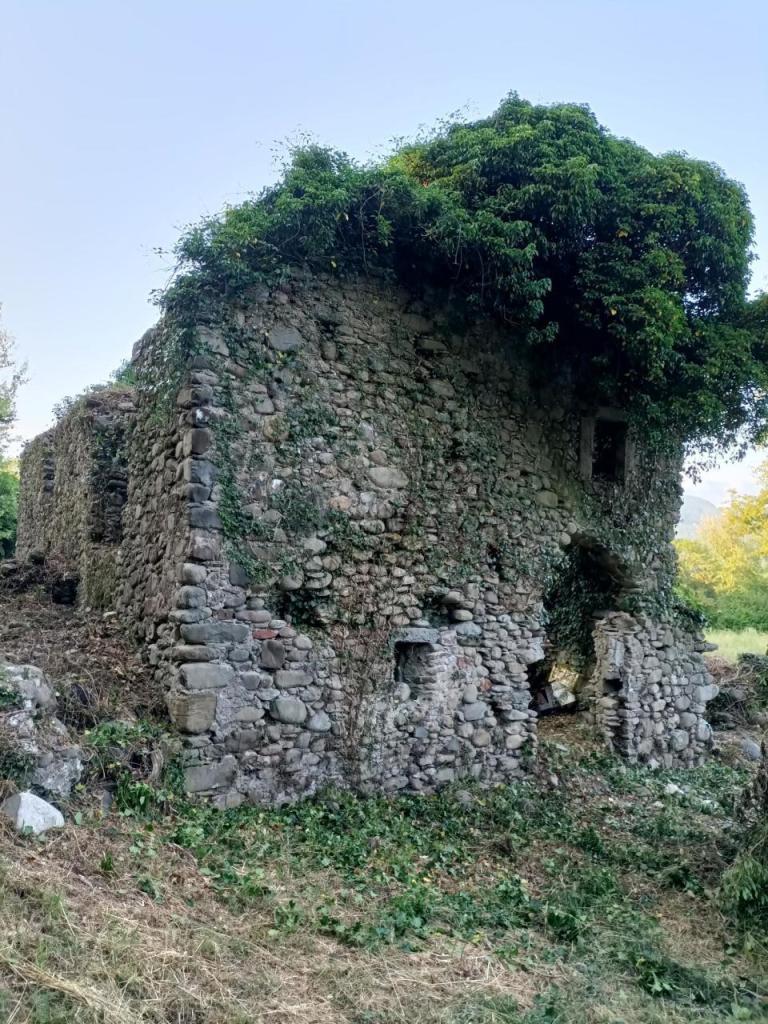 Vendita Multivani, Mulazzo foto