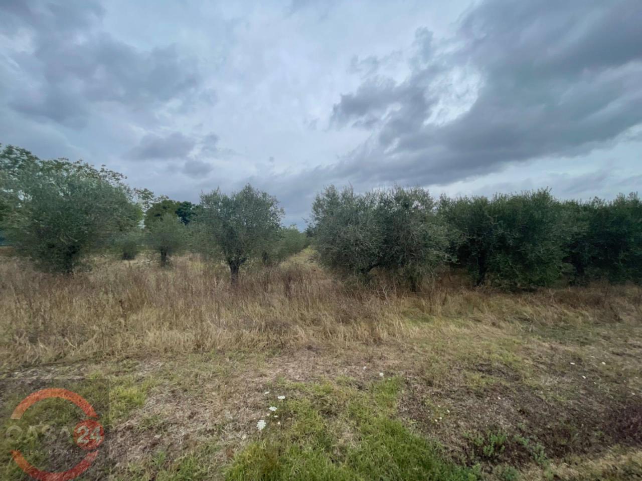 Vendita Terreno, Cisterna di Latina Vendita Terreno, Cisterna di Latina foto