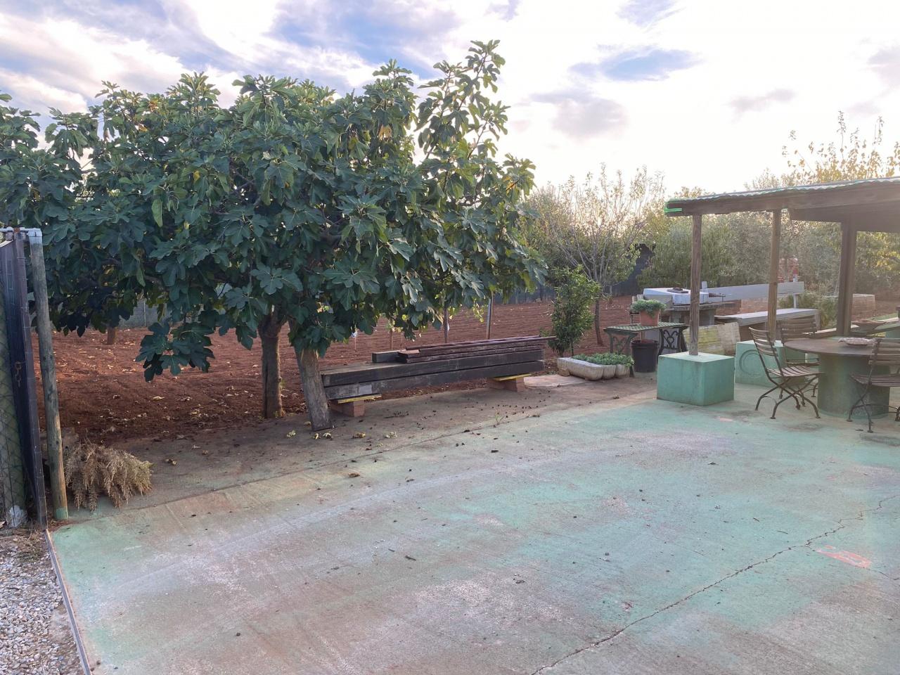 Vendita Altri immobili, Follonica Vendita Altri immobili, Follonica foto