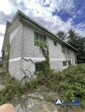 Vendita Multivani, Cori