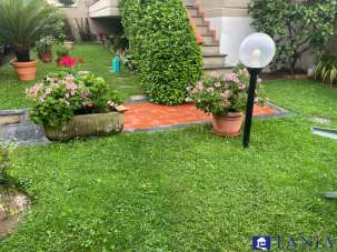 Venta Multivani, Carrara