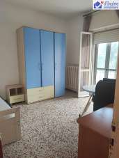 Affitto false, Campobasso