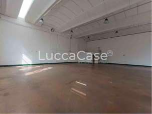 Affitto Capannone, Lucca
