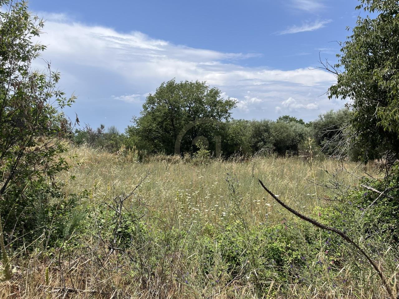 Vendita Terreni, Belpasso Vendita Terreni, Belpasso foto