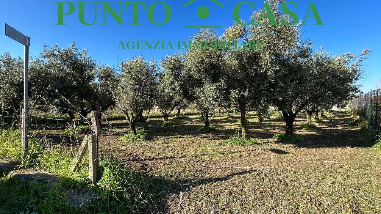 Vendita vendita, Lamezia Terme foto