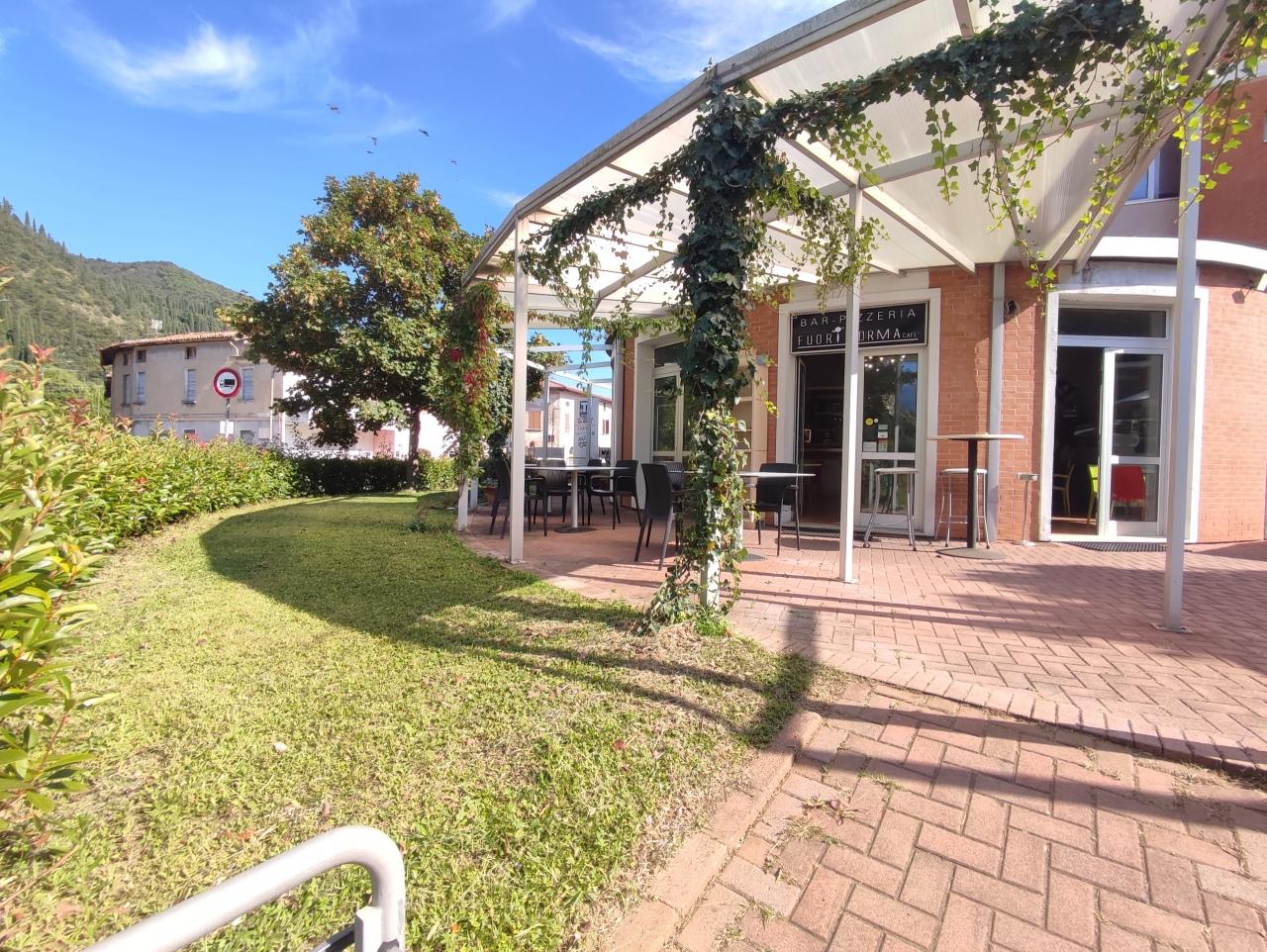 Vendita Locali commerciali, Provaglio d'Iseo foto