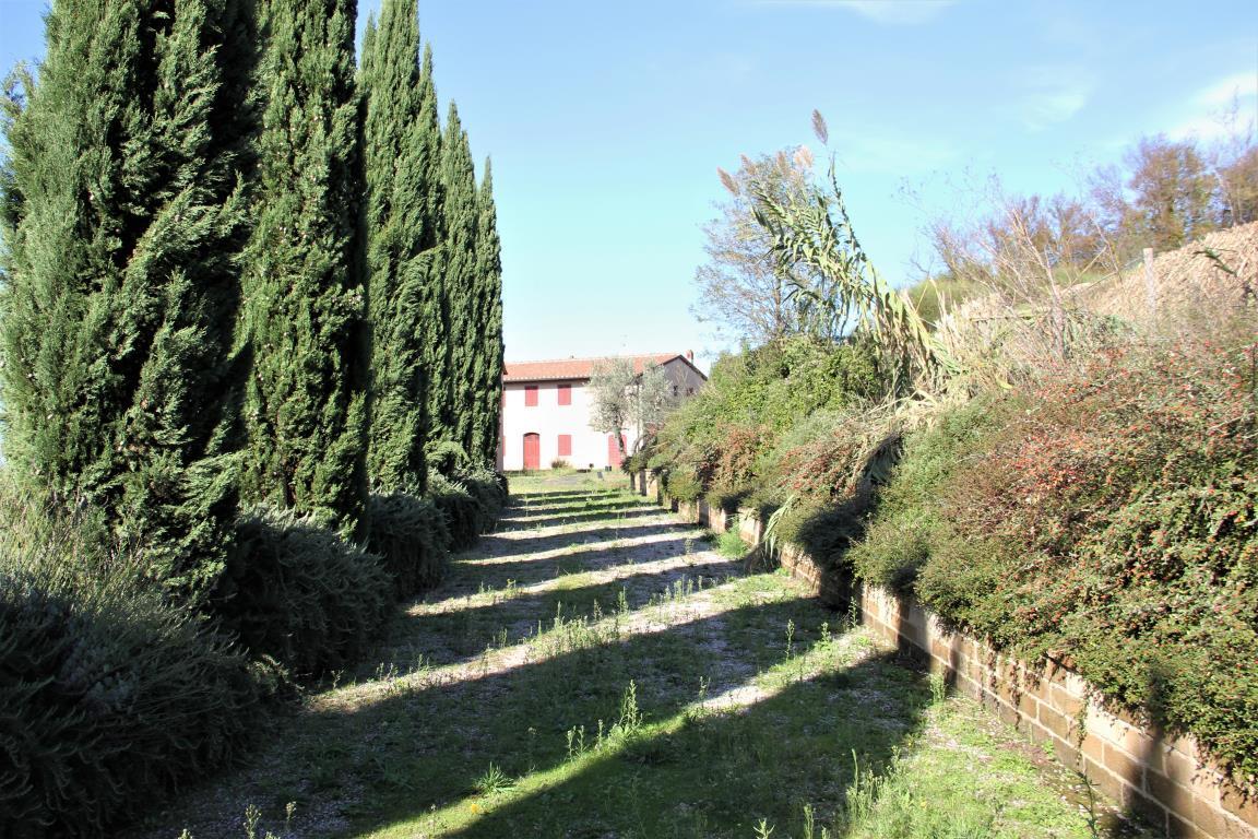 Vendita Rustico / Casale, Palaia foto