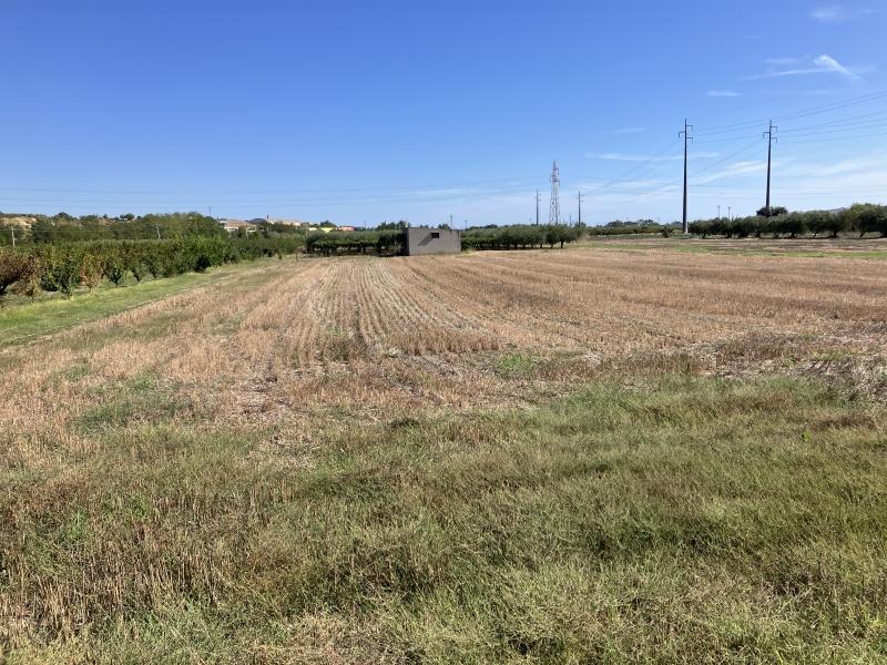 Vendita Terreno, San Salvo foto