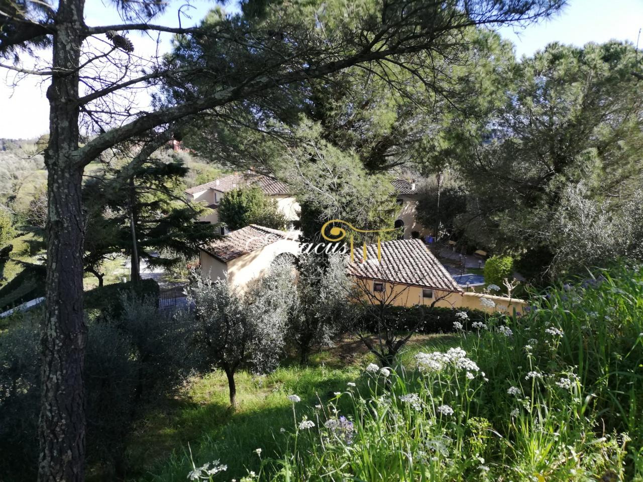 Vendita Multivani, Crespina Lorenzana foto