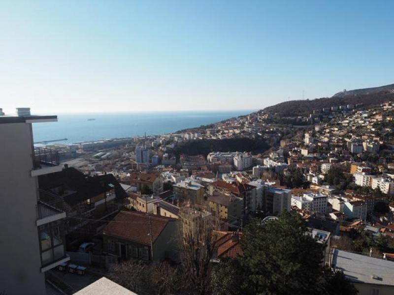 Vendita Trivani, Trieste foto