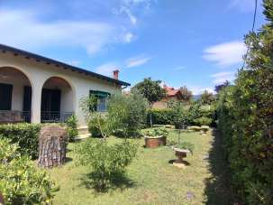 Affitto Multivani, Pietrasanta